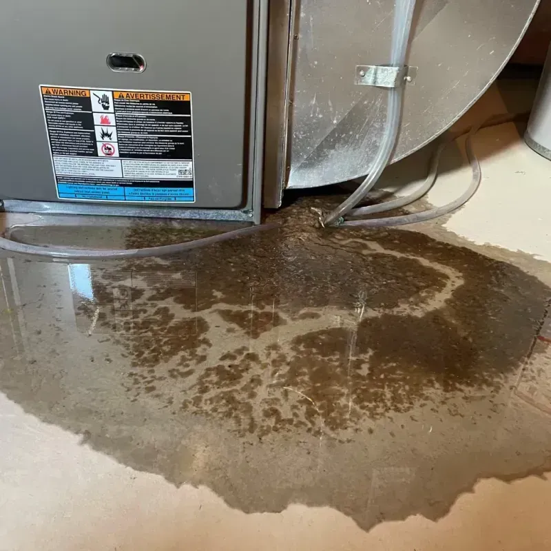 Appliance Leak Cleanup in Rains County, TX